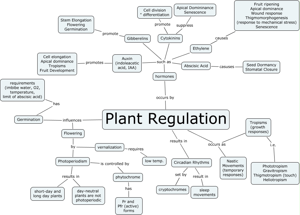 regulation - plants